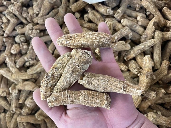 ginseng1.jpg